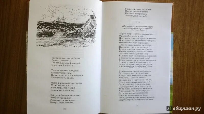 Стихотворения Некрасова памяти приятеля. Любое стихотворение Некрасова. Стихи н а Некрасова для детей на конкурс чтецов. Выучить стихотворение Некрасова.