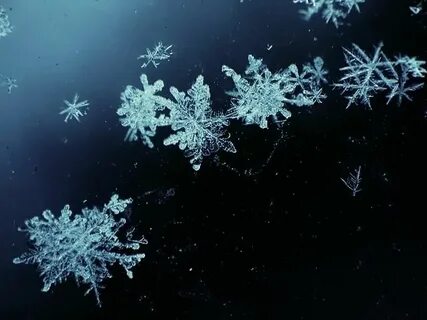 Белые мухи падающий снег