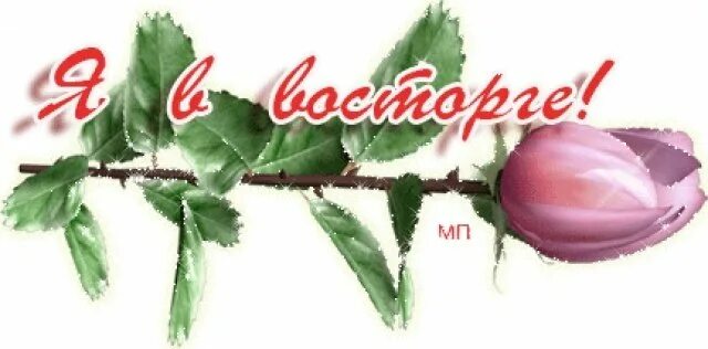 Спасибо очень мало. Открытки я в восторге. открытки я в восторге спасибо. спасибо я в восторге. открытки восторг и восхищение.