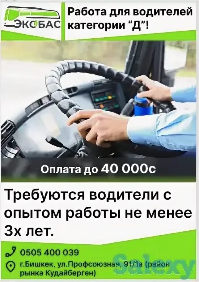 Водитель срочно. Требуются водители кат е. Требуется водитель картинка. Требуется водитель категории с. Шабашников гоните в шею.