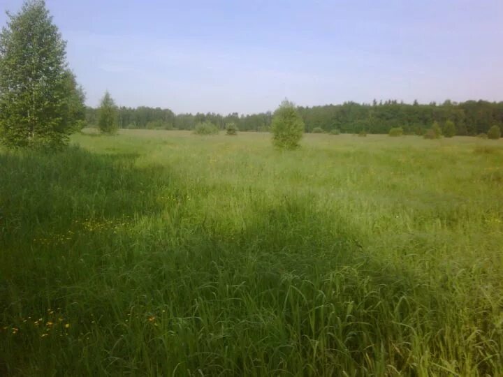 Деревня пасыкино ступинский район. Участок сельхозназначения. Земля сельхозназначения торги. Земли сельскохозяйственного назначения. Земельный участок сх.
