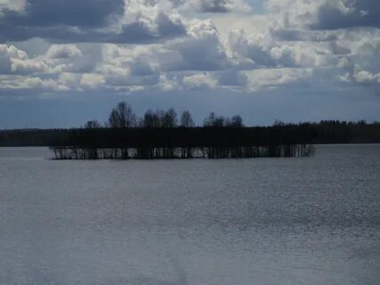 Лососинное петрозаводск