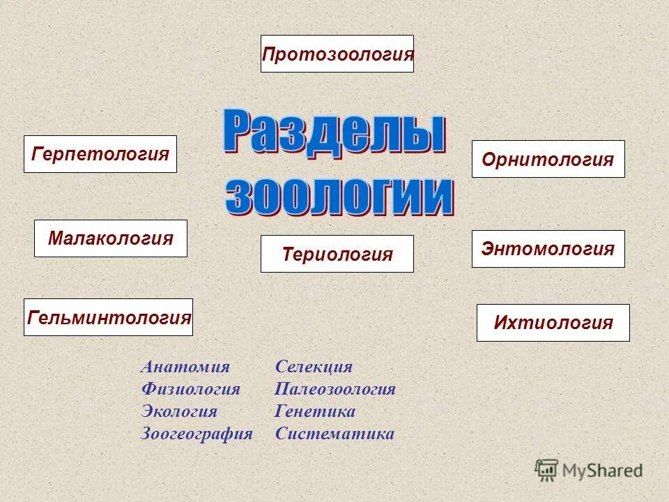 Териология это наука изучающая