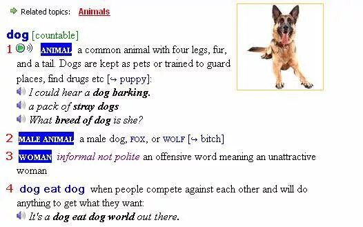 Leg перевод с английского. Dogs has got four Legs как правильно. Has a Dog got four Legs ответ. Сканер 4 Dog. Has a Dog got four Legs перевод.