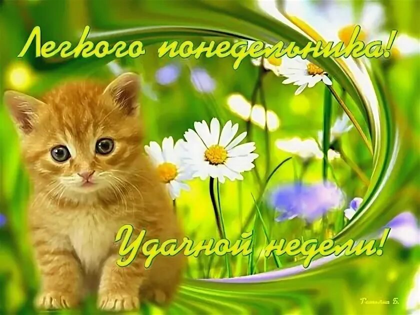 Хорошего понедельника лето картинки. Открытки с понедельником. открытки с добрым понедельником. удачного дня понедельника и хорошего настроения. открытки с прекрасным днем понедельником.