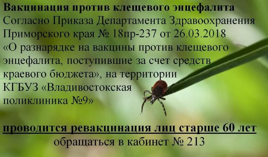 Когда нужно делать прививку от клещей. Прививка от клещевого энцефалита. Клещевой энцефалит вакцинация. Клещевой энцефалит прививки. Прививка против клещевого энцефалита детям.