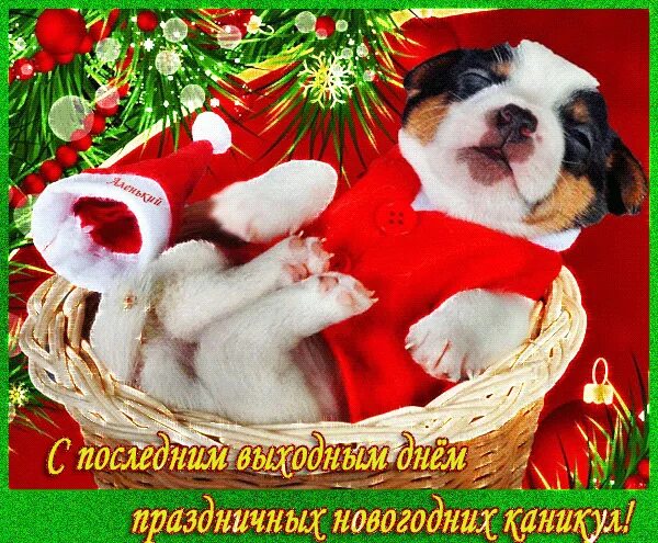 Длинные новогодние праздники. Праздник новый год офис. Последний выходной новогодних праздников. Последний выходной новогодних праздников. После нг праздников.