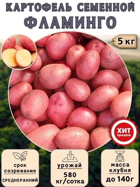 Картофель Фламинго купить по низкой цене на Все Свое 69509