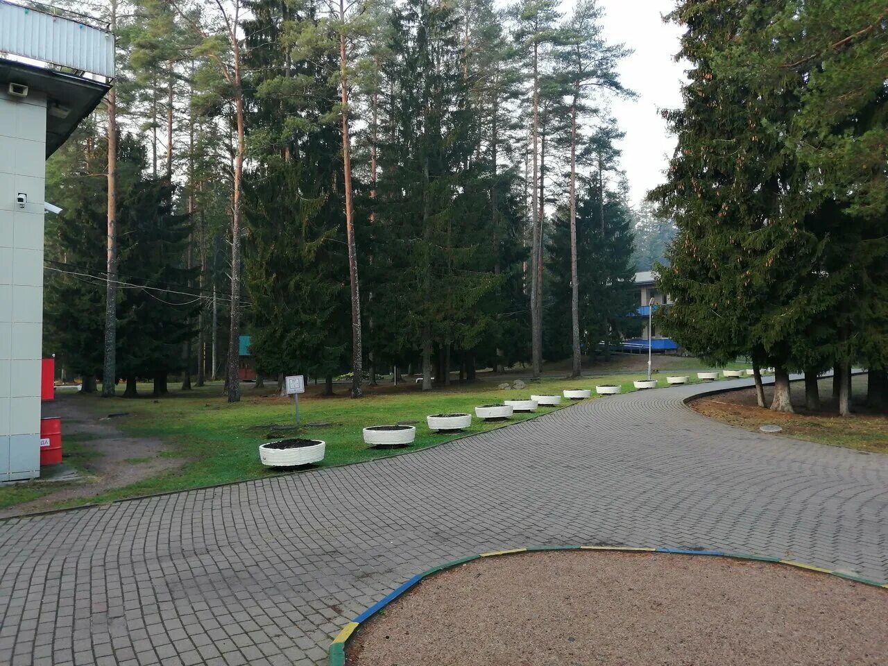 Путевка в зарю