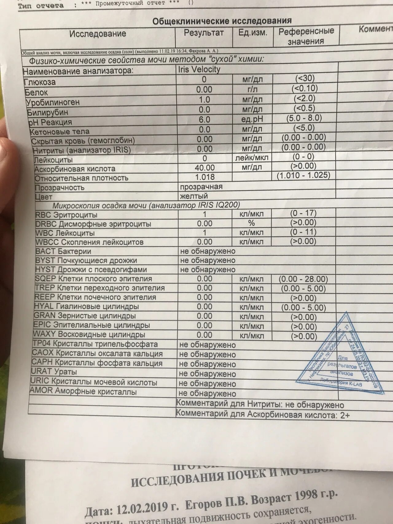 Кристаллы кальция в моче у женщины. Оксалаты кальция норма в анализе. Кр в анализе мочи. Кристаллы кальция в моче у женщины. Кристаллы кальция в моче у женщины.