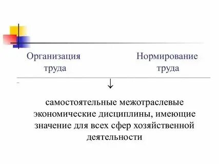 Презентация "ПКГ и нормирование труда" по экономике - скачать проект