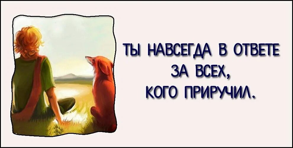 Жить отвечая за все. В ответе за тех кого приручили. Ты в ответе за тех кого приручили. Мы в ответе за тех кого приручили маленький принц. Ты навсегда в ответе за тех кого приручил.