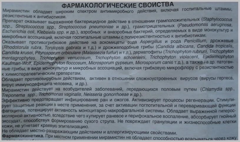 Мирамистин можно капать в нос. Можно ли пшикать мирамистин в нос. Можно ли промывать нос мирамистином. Мирамистин инструкция по применению для носа. Мирамистин при гайморите.