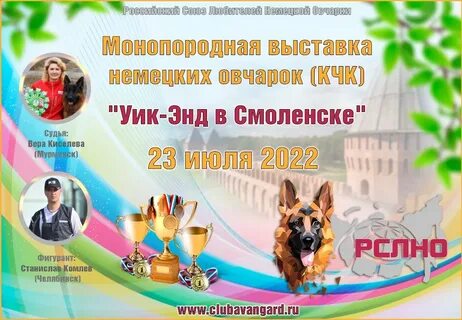 Выставка немецких овчарок иркутск 06.07 2024 зоопортал
