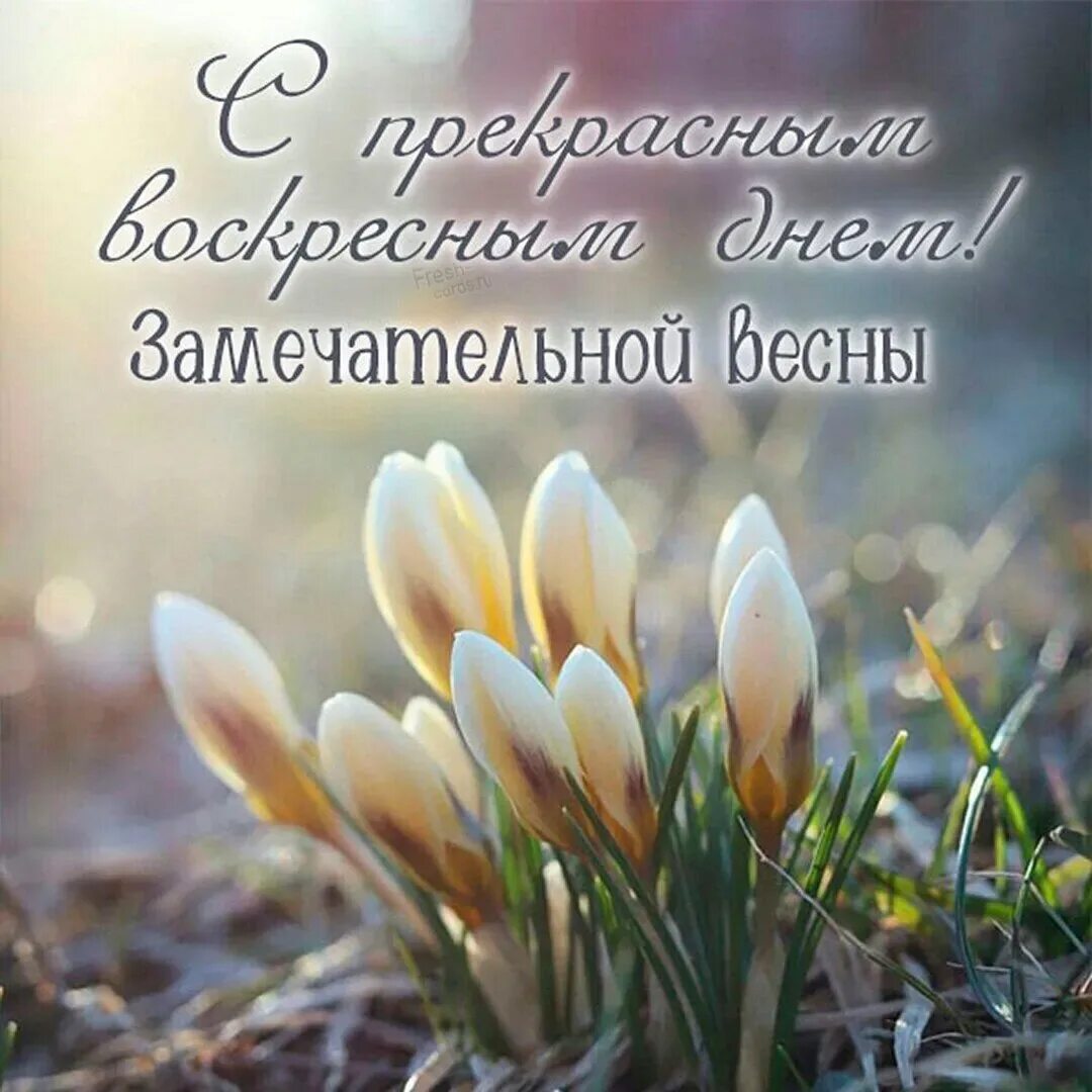 Картинки с добрым утром православные красивые весенние