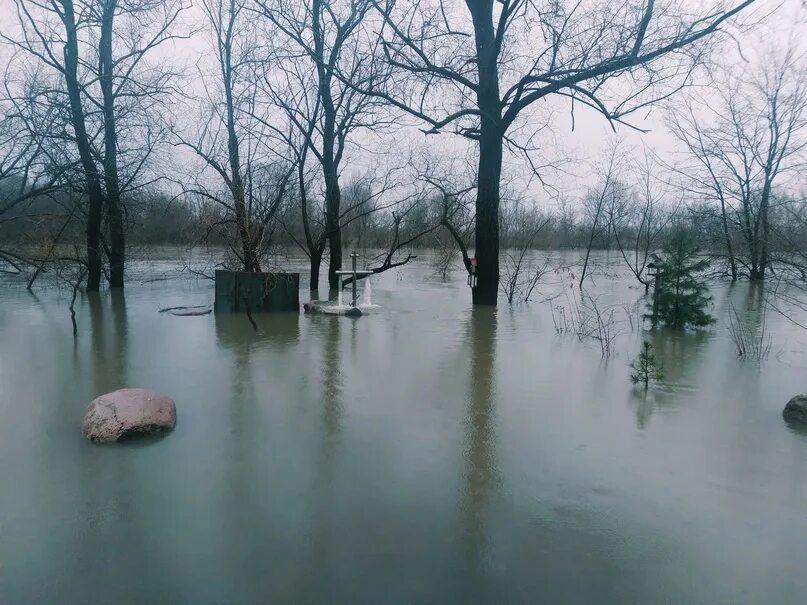 Уровень воды в жиздре козельск сегодня. Разлив реки Жиздра в Козельске. Разлив в Козельске 2023. Разлив реки Угра. Разлив реки Угра в Калужской области.