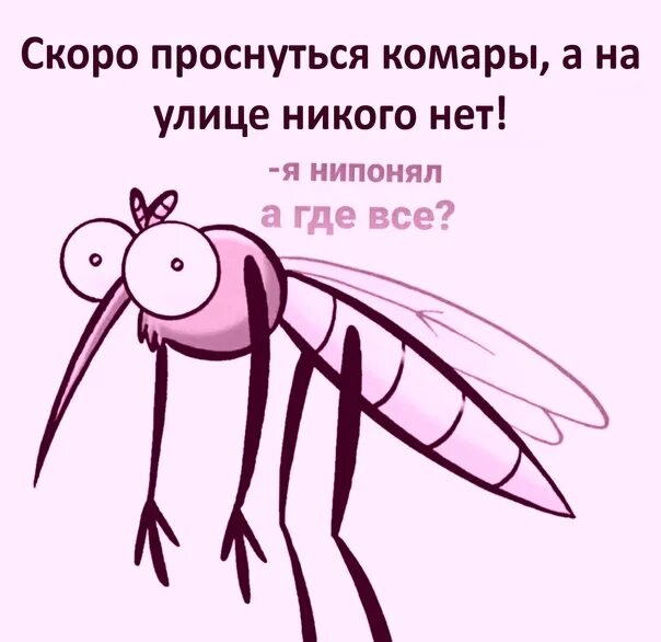 Почему комар чаще машет крыльями. Вымершие комары. когда вымрут комары. когда исчезают комары в каком месяце.