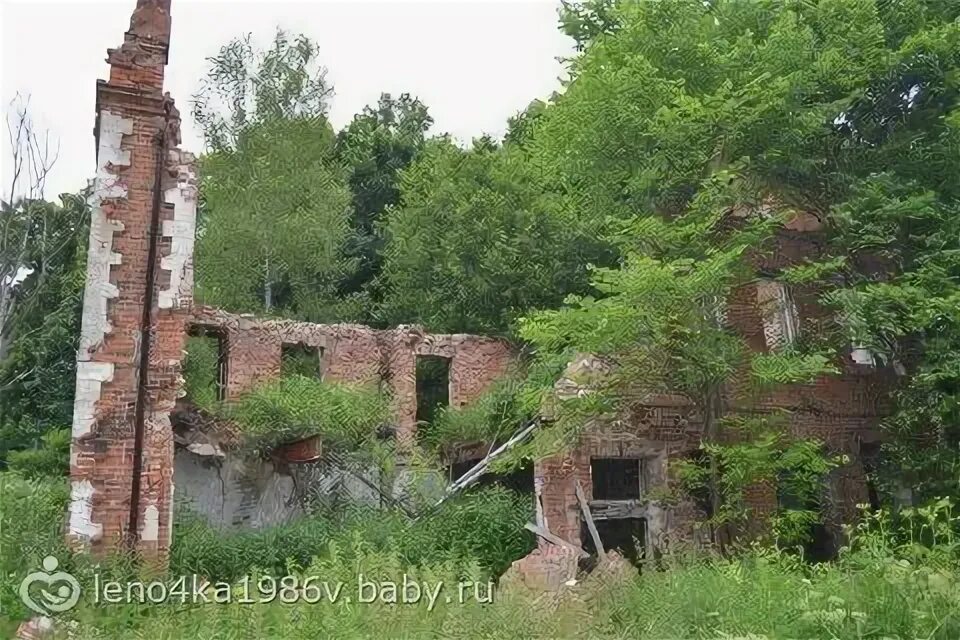 Усадьба 2 читать. Сенницы 2 усадьба графа Келлера. Усадьба графа Келлера в Сенницах. Усадьба графа Келлера Озерский район.