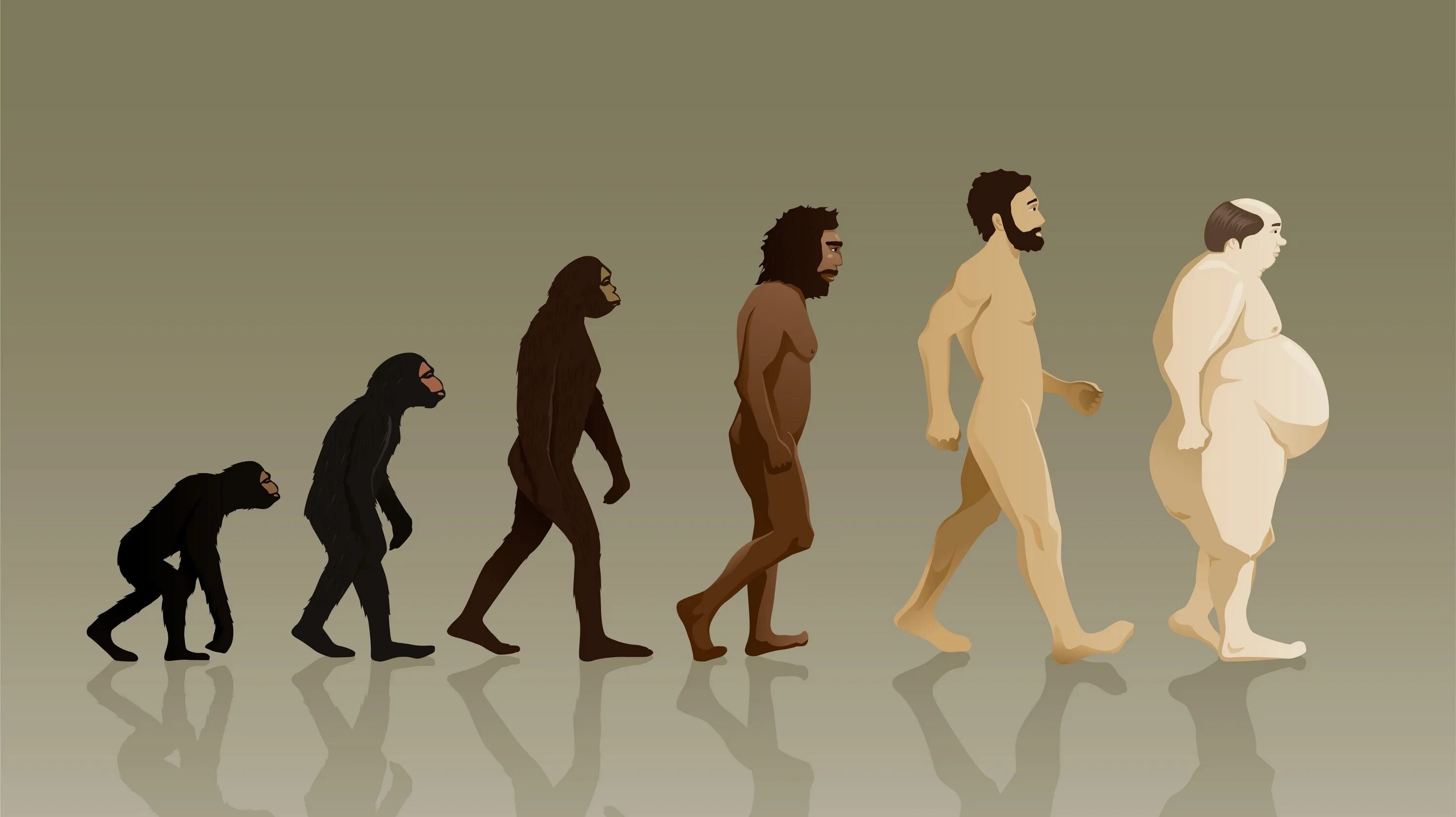 Human Evolution Эволюция человека. Хомо сапиенс Эволюция женщины. Эволюция Дарвин хомо. Этапы эволюции хомо сапиенс. Найди human