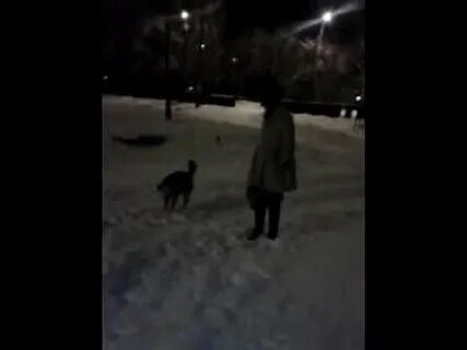 Из глубины идет домой