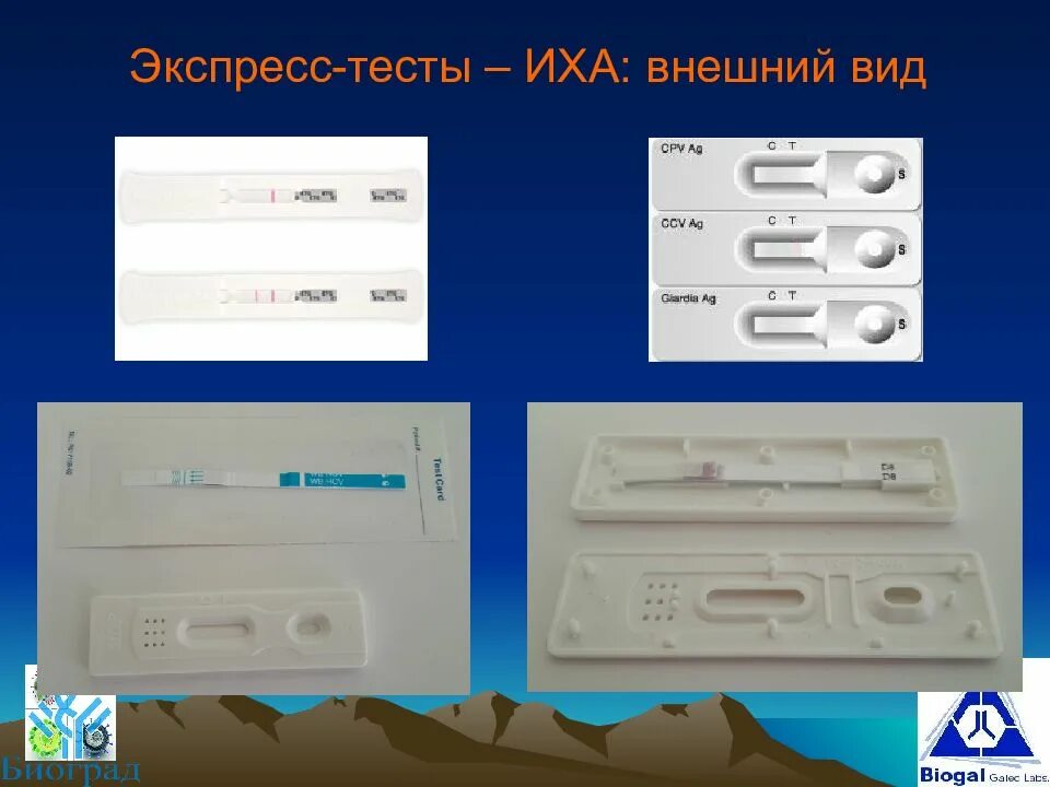 Экспресс тест ифа. Экспресс тест иха. иммунохроматографический экспресс-тест. иммунохроматографический анализ (иха). тест иммунохроматографический механизм.