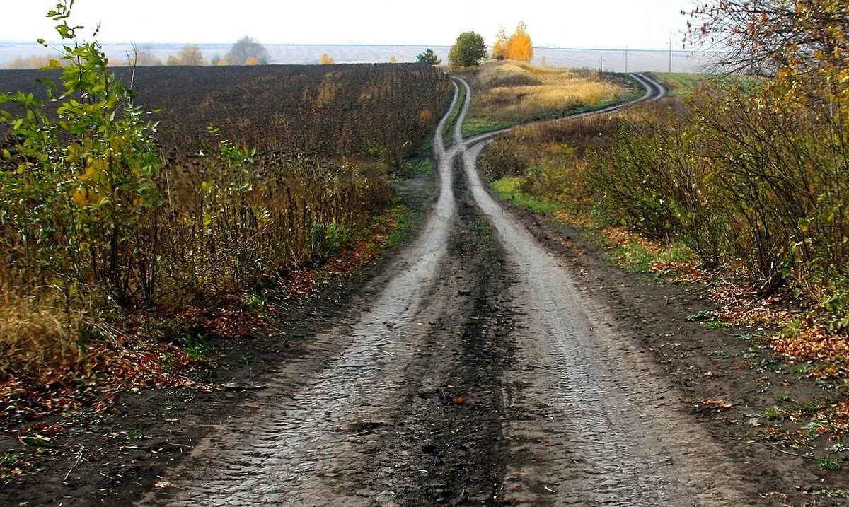 Разным дорогам в том. Дорога с развилкой. Разные дороги. Две дороги. Старая дорога.