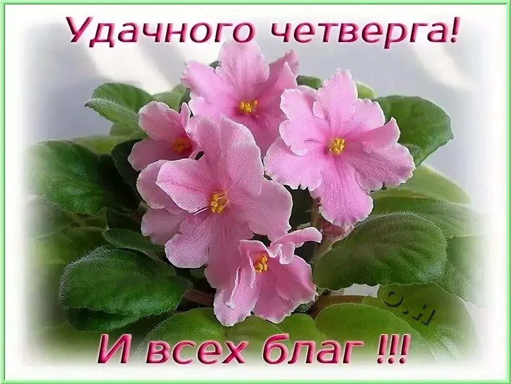 Доброго дня и всех благ. Доброе утро удачного четверга. удачного четверга и хорошего дня. доброго четверга и удачного. четверг доброе утро и хорошего дня.