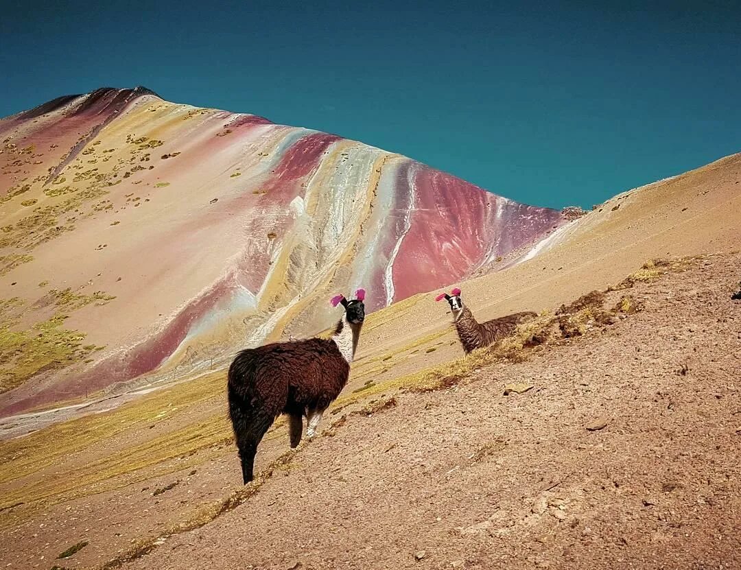 Перу горная