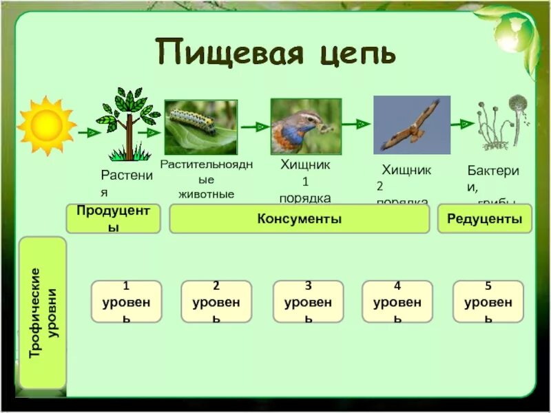 Экология сообщества называется