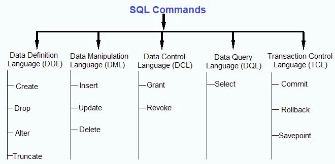 Диалекты sql. Dml sql команды. базовые знания sql. dml/ddl операторы. язык ddl sql.