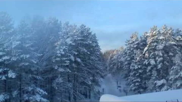 Туманный лес. Зимний лес. Зимний закат. Зимняя тайга пермского края. А над белой тайгой.