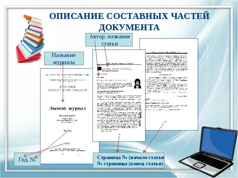 Элементы страницы документа. Составные части документа. Части документа как называются. Название частей документа. «Название статьи документа» что это.