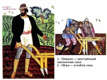 Что такое сошка в былине