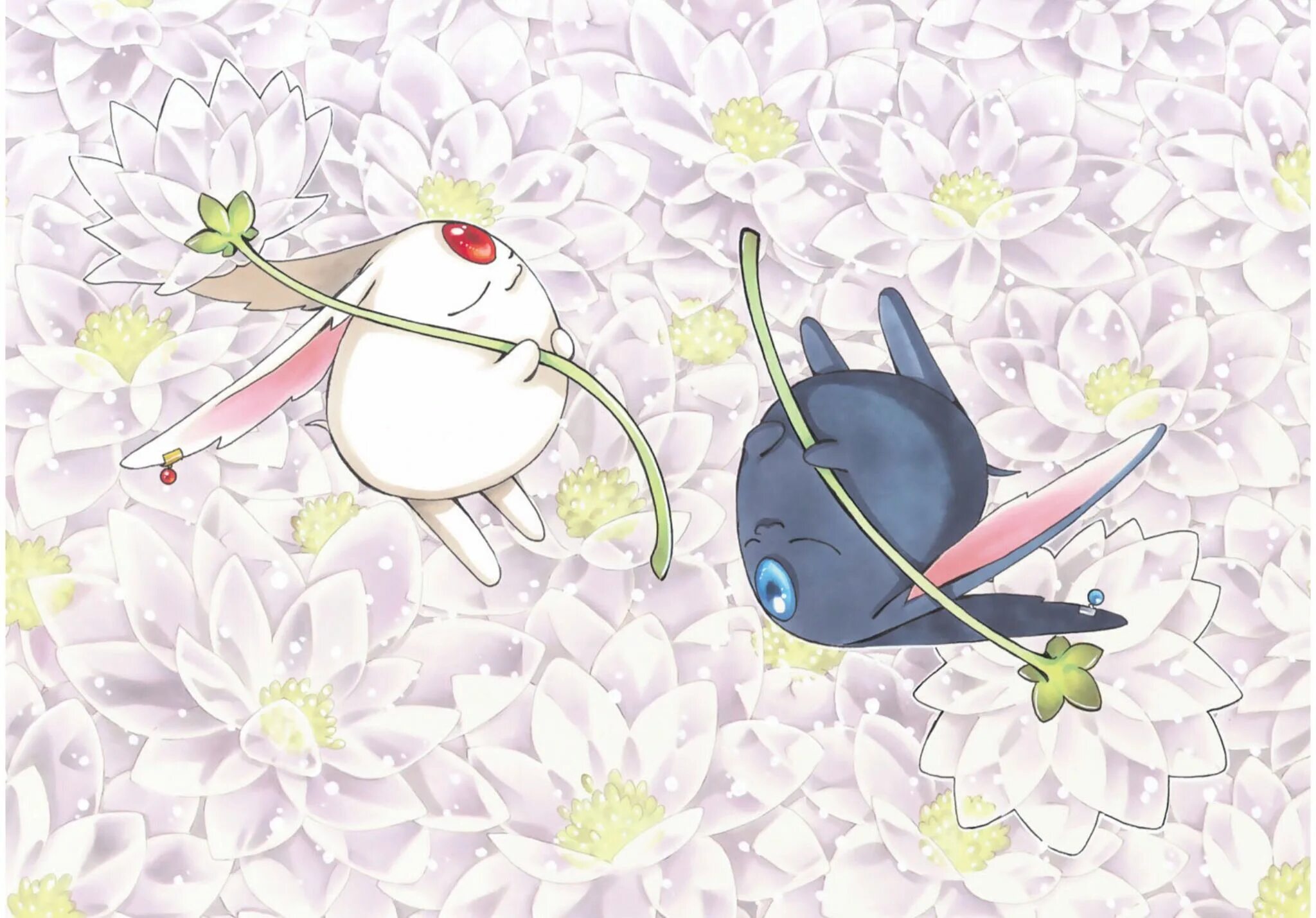 Мокона. Мокона xxxholic. соэль мокона. мокона кламп. tsubasa chronicle mokona.
