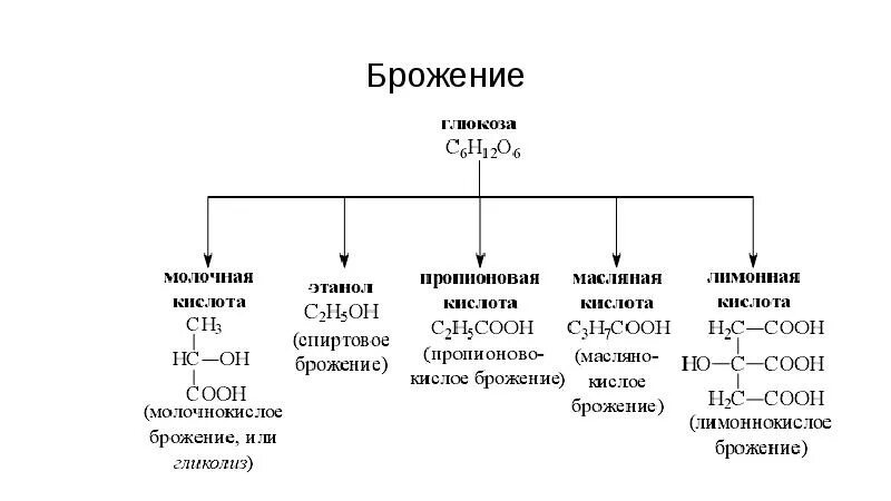 Перечислите известные вам процессы брожения глюкозы. Типы брожения глюкозы. процесс брожения схема. типы брожения микробиология таблица. конечные продукты брожения углеводов.
