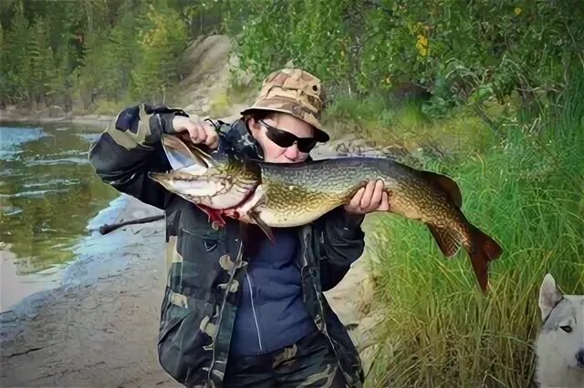 Погода в костомукше на 10 дней