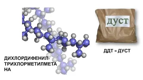 4 й дуст
