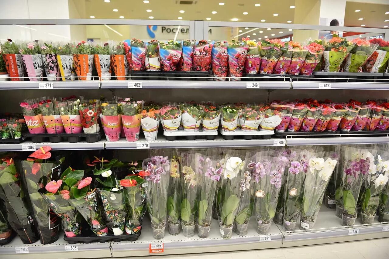Тюльпаны Ашан 2022. Цветочный магазин в Ашане. Цветы в супермаркете. Ашан цветы.