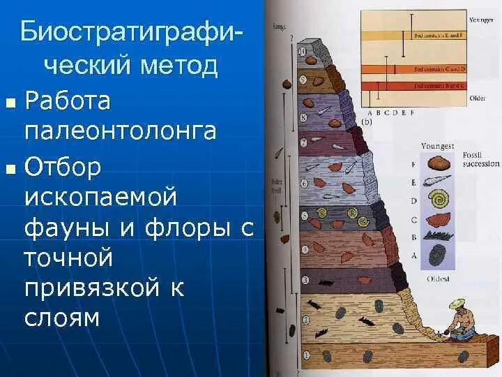 P и n слои