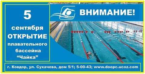 Чайка расписание