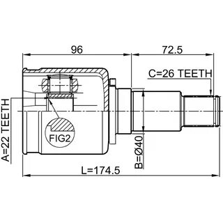 26 24 8
