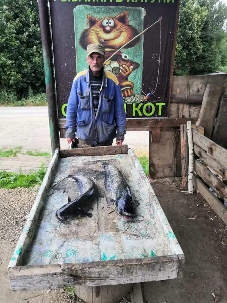 Русфишинг рыбалка сытый кот. Коты на рыбалке. Русфишинг рыбалка сытый кот. Русфишинг рыбалка сытый кот. Сытый кот рыбалка хатунь.