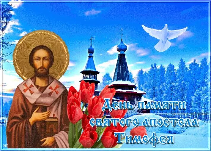 4 февраля день хорошего. Тимофеев день 4 февраля. день памяти святого апостола тимофея 4 февраля. открытки тимофеев день.