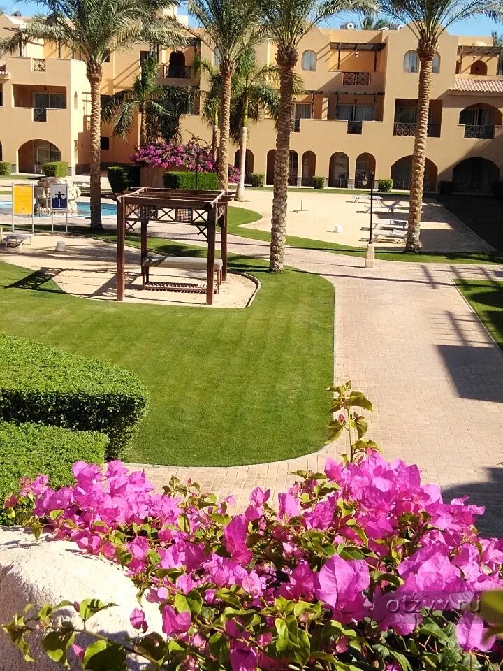 Отель stella makadi beach resort. Отель stella makadi beach resort