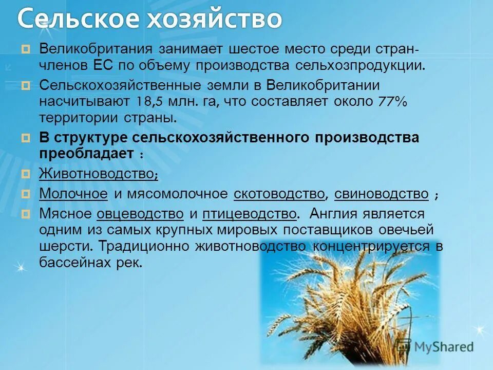 основную сельского хозяйства составляют