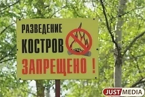 Запрет на посещение лесов в свердловской. Запрет на посещение лесов в свердловской