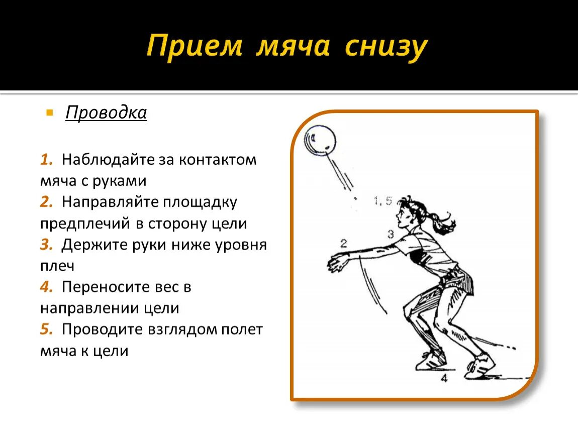 Нижняя подача прием мяча снизу. Прием мяча снизу. Положение рук при приеме мяча снизу. Техника приема мяча снизу в волейболе. Прием мяча снизу двумя руками в волейболе.