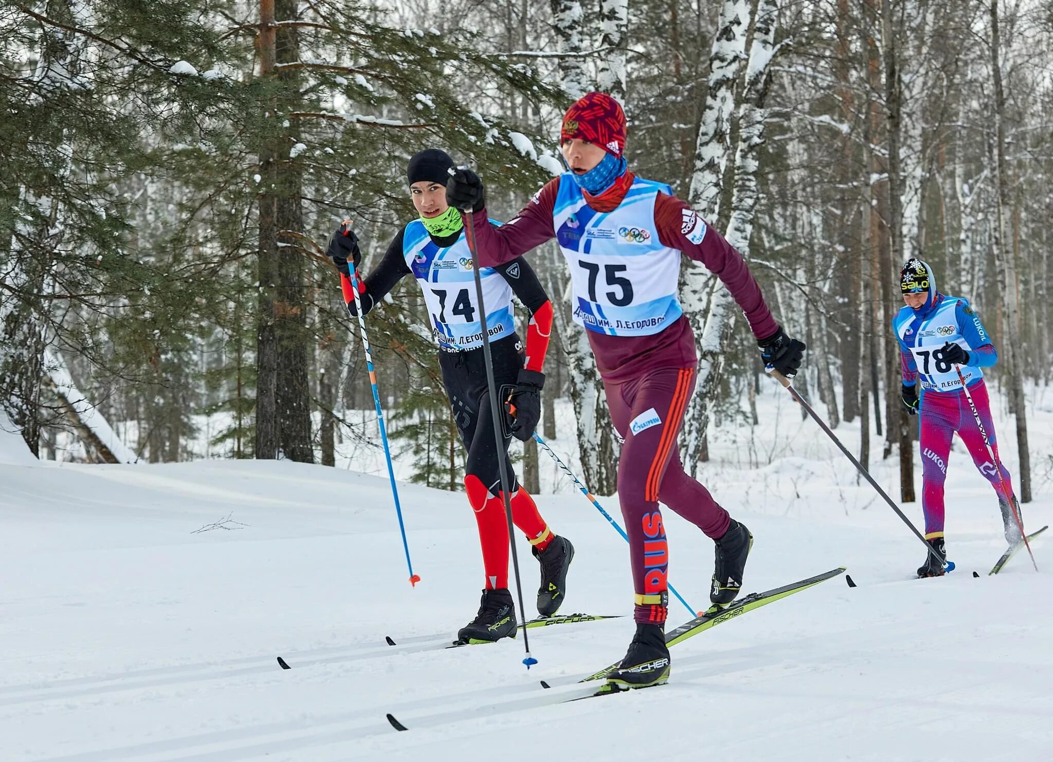 Лыжная база янтарь Северск. Лыжные гонки. Лыжные соревнования. Соревнования по лыжам.
