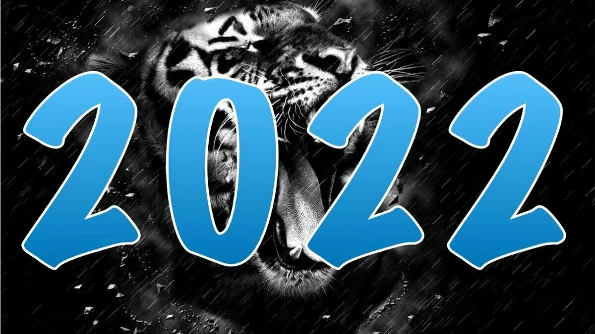 Стрим новый год. Ждем 2022 год. Что нас ждет в будущем. Денацификация 2022 пикабу. Тигр 2022 год.