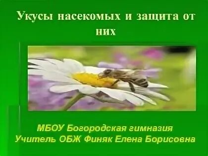 Укусы насекомых и защита от них обж. Укусы насекомых и защита от них ОБЖ 6 класс. Конспект по теме укусы насекомых и защита от них. Защита от укусов насекомых ОБЖ 6 класс.